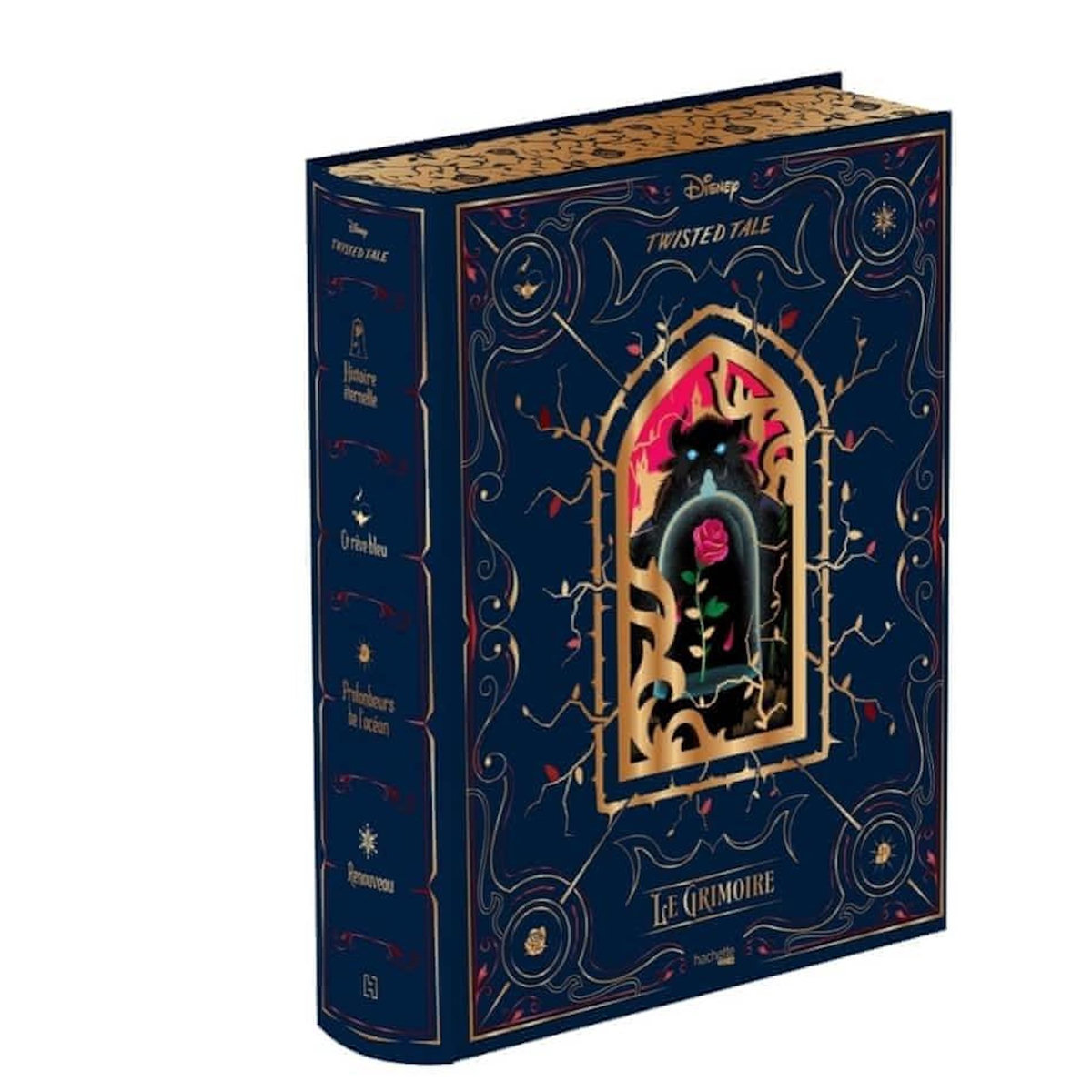 LE GRIMOIRE. HISTOIRE ETERNELLE ; CE REVE BLEU ; PROFONDEURS DE L'OCEAN ; RENOUVEAU, Braswell Liz