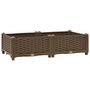 Voir la diapositive 2 : VIDAXL Lit sureleve 80x40x23 cm Polypropylene