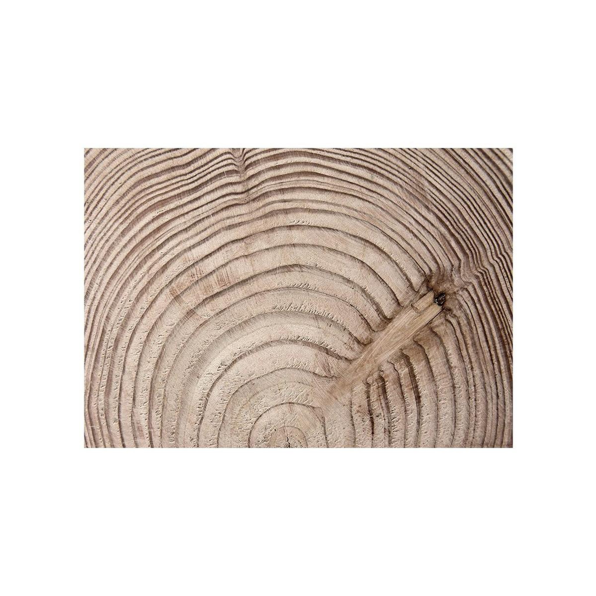 Voir la diapositive 2 : Paris Prix Papier peint  cerne d'un arbre