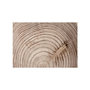 Voir la diapositive 2 : Paris Prix Papier Peint  Cerne D'un Arbre