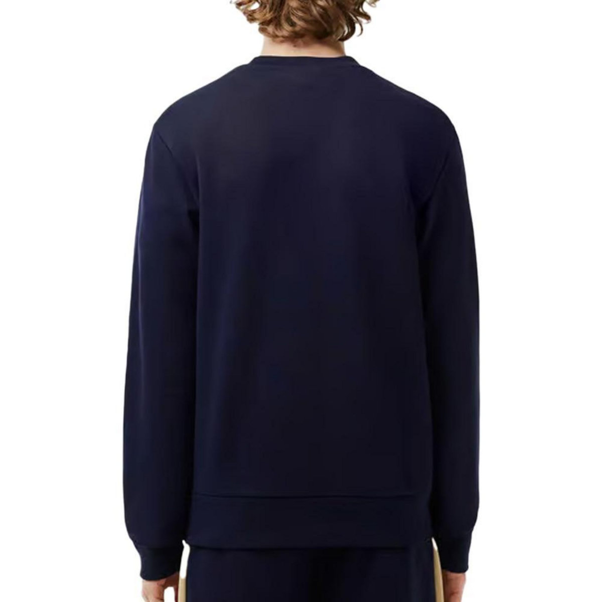 Lacoste weat /Beige Homme Lacoste  H1433