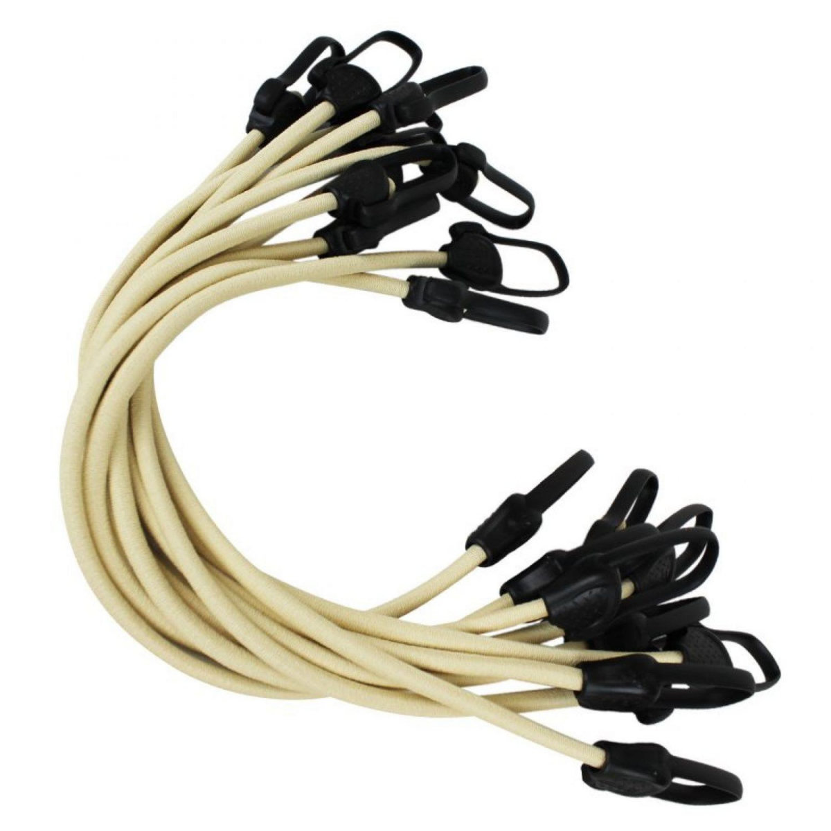 LINXOR Lot de 10 tendeurs sandows sécurisés et normés