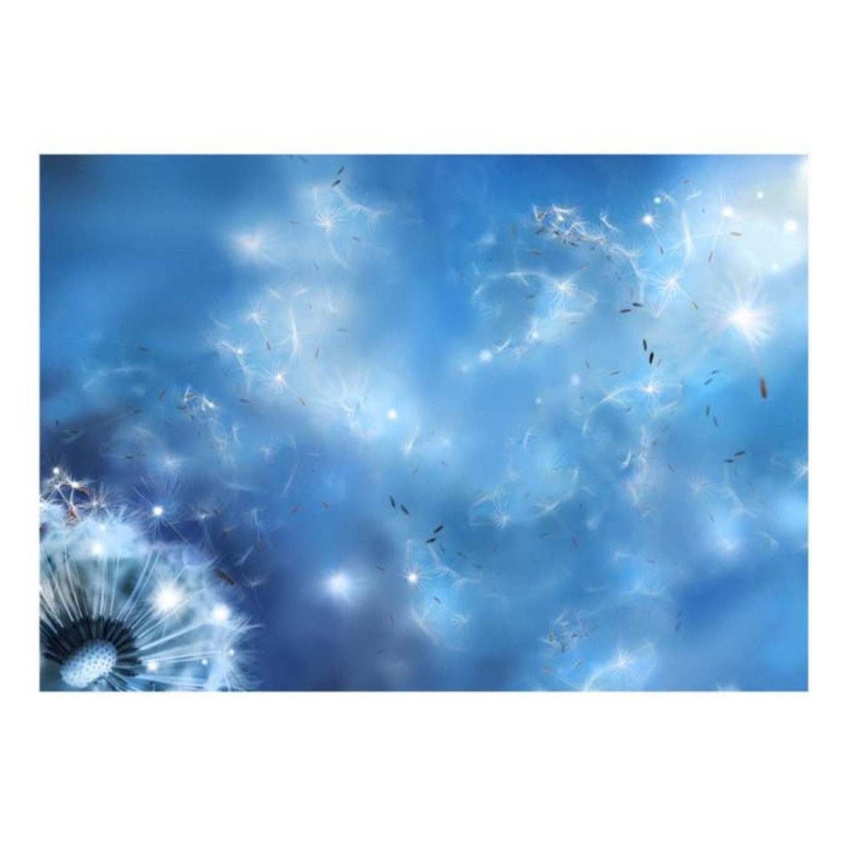 Paris Prix Papier Peint  Magic of Nature