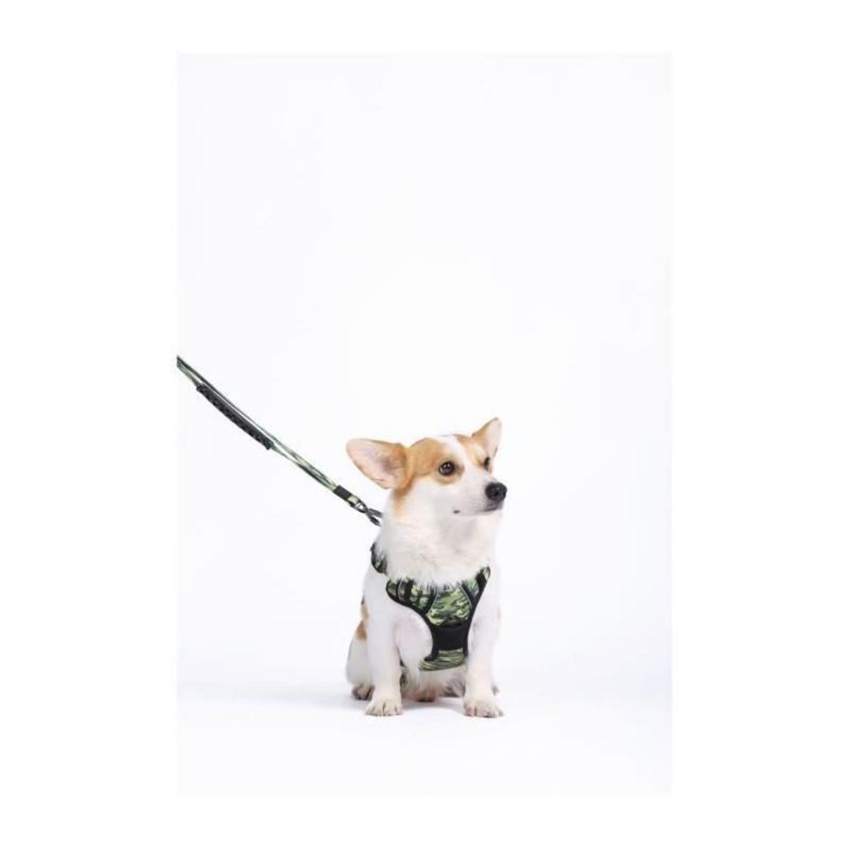 M PETS Harnais - M PETS - HIKING - Camouflage M - Tissu rembourré - Attache sécurité - Poignée - Laisse dos/avant