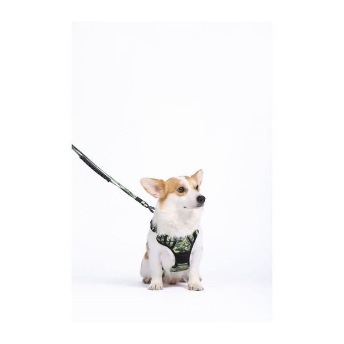 M PETS Harnais - M PETS - HIKING - Camouflage M - Tissu rembourré - Attache sécurité - Poignée - Laisse dos/avant