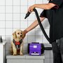 PAWHUT Séchoir sèche-poils toilettage professionnel pour chien chat animaux 2800 W température + vitesse réglable rose fuchsia noir