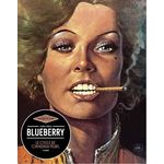 LES CAHIERS DE LA BD HORS-SERIE : BLUEBERRY. LE CYCLE DE CHIHUAHUA PEARL, Tellop Nicolas