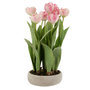 Voir la diapositive 1 : Paris Prix Plante Artificielle en Pot  Tulipes  46cm Rose