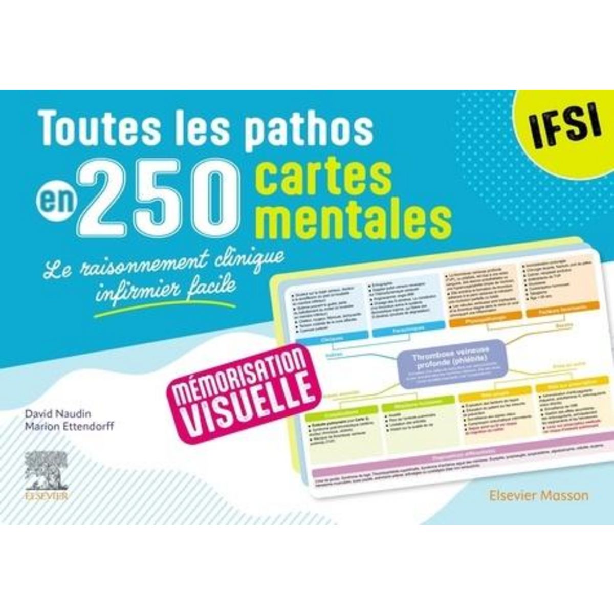 TOUTES LES PATHOS EN 250 CARTES MENTALES. LE RAISONNEMENT CLINIQUE INFIRMIER FACILE, Naudin David