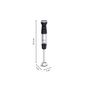 Voir la diapositive 3 : MOULINEX Mixeur plongeant 1000w noir - DD673810
