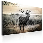 Paris Prix Tableau Imprimé  Dangerous Horns. Coloris disponibles : Multicolore