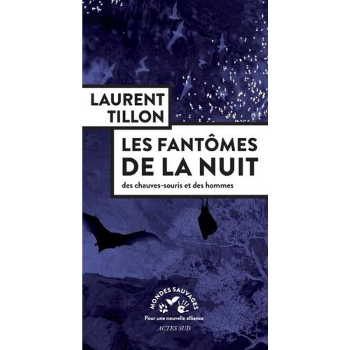 LES FANTOMES DE LA NUIT. DES CHAUVES-SOURIS ET DES HOMMES, Tillon Laurent