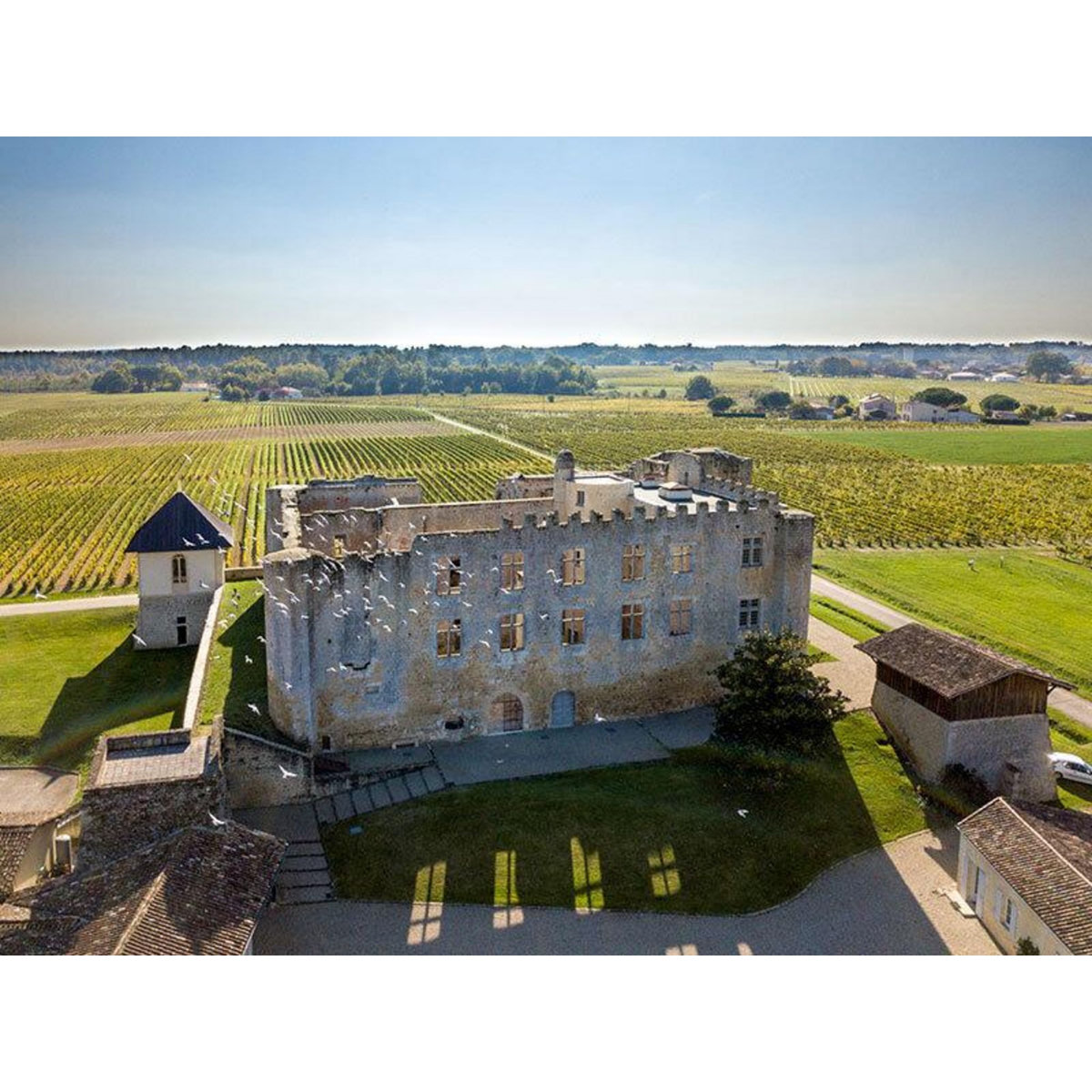 Smartbox Vol en ULM pendulaire ou paramoteur d'1h près de Bordeaux - Coffret Cadeau Sport & Aventure