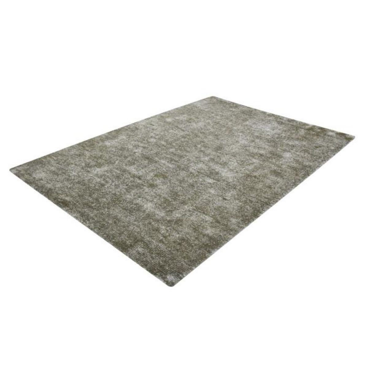 Paris Prix Tapis Vintage Tissé à la Main  Etna  Argent & Vert