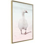 Voir la diapositive 1 : Paris Prix Affiche Murale Encadrée  Walking Goose