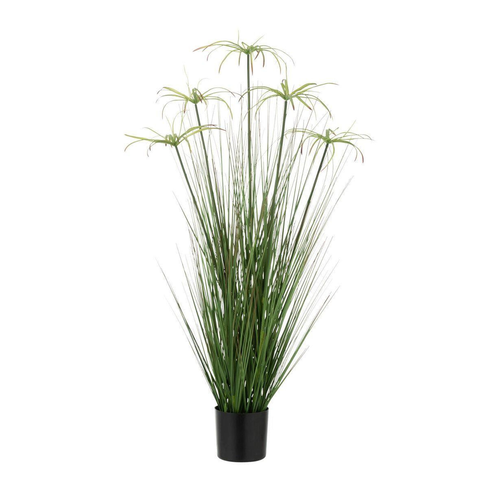 Voir la diapositive 1 : J-LINE Plante artificielle  cyperus alternifolius 5 têtes  100cm vert