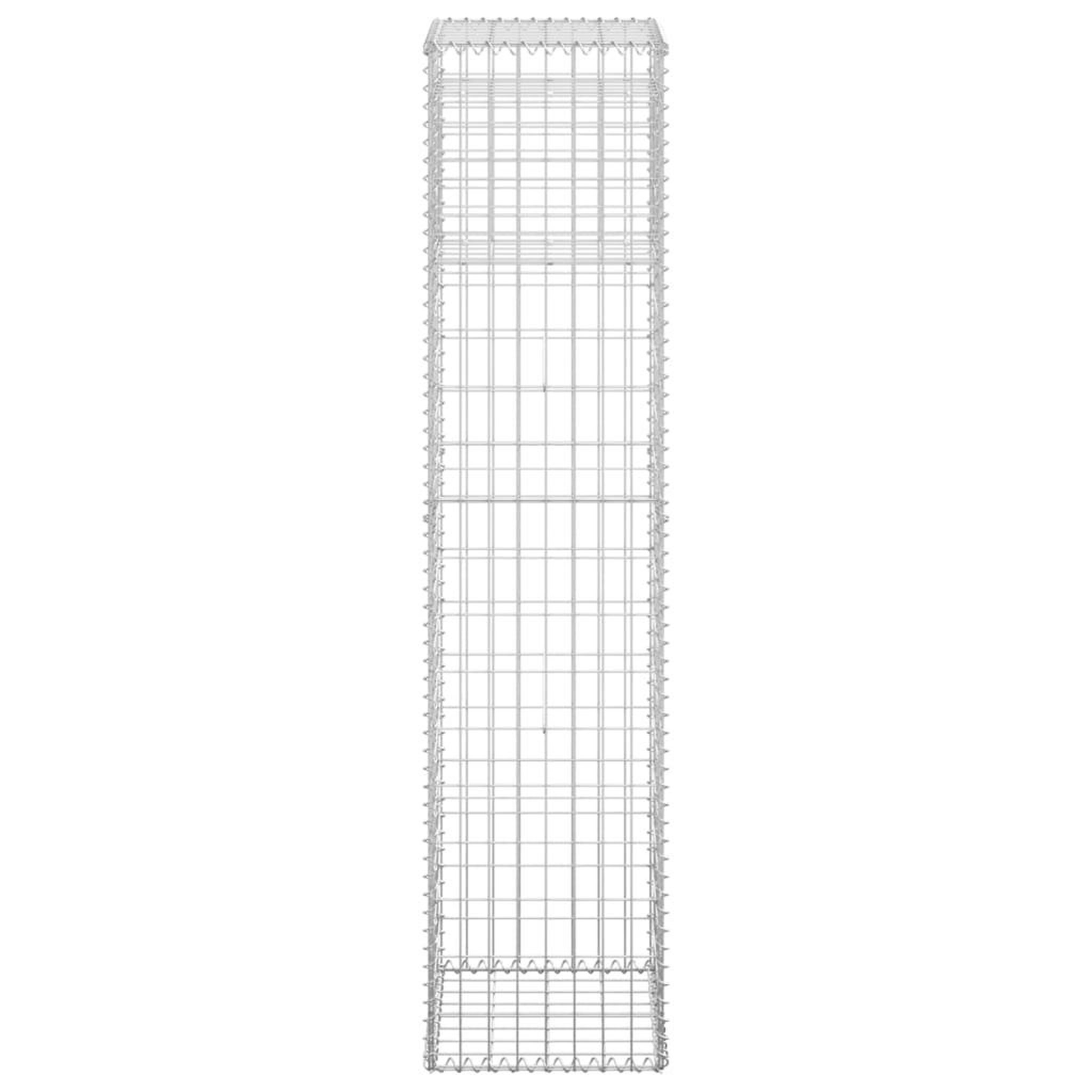 Voir la diapositive 5 : VIDAXL Poteaux a panier de gabion 2 pcs 40x40x180 cm Fer