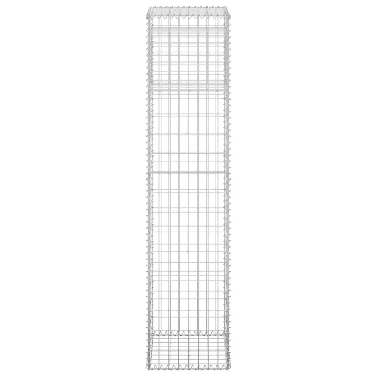 VIDAXL Poteaux a panier de gabion 2 pcs 40x40x180 cm Fer