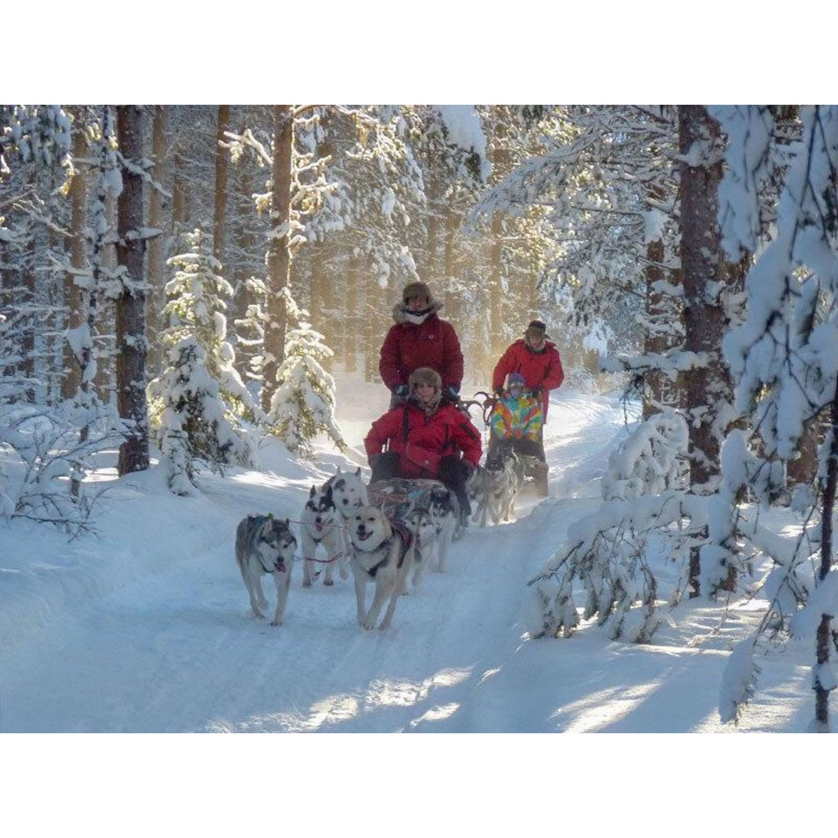 Smartbox 3 jours en Suède avec balade en chiens de traîneau et observation des aurores boréales - Coffret Cadeau Séjour