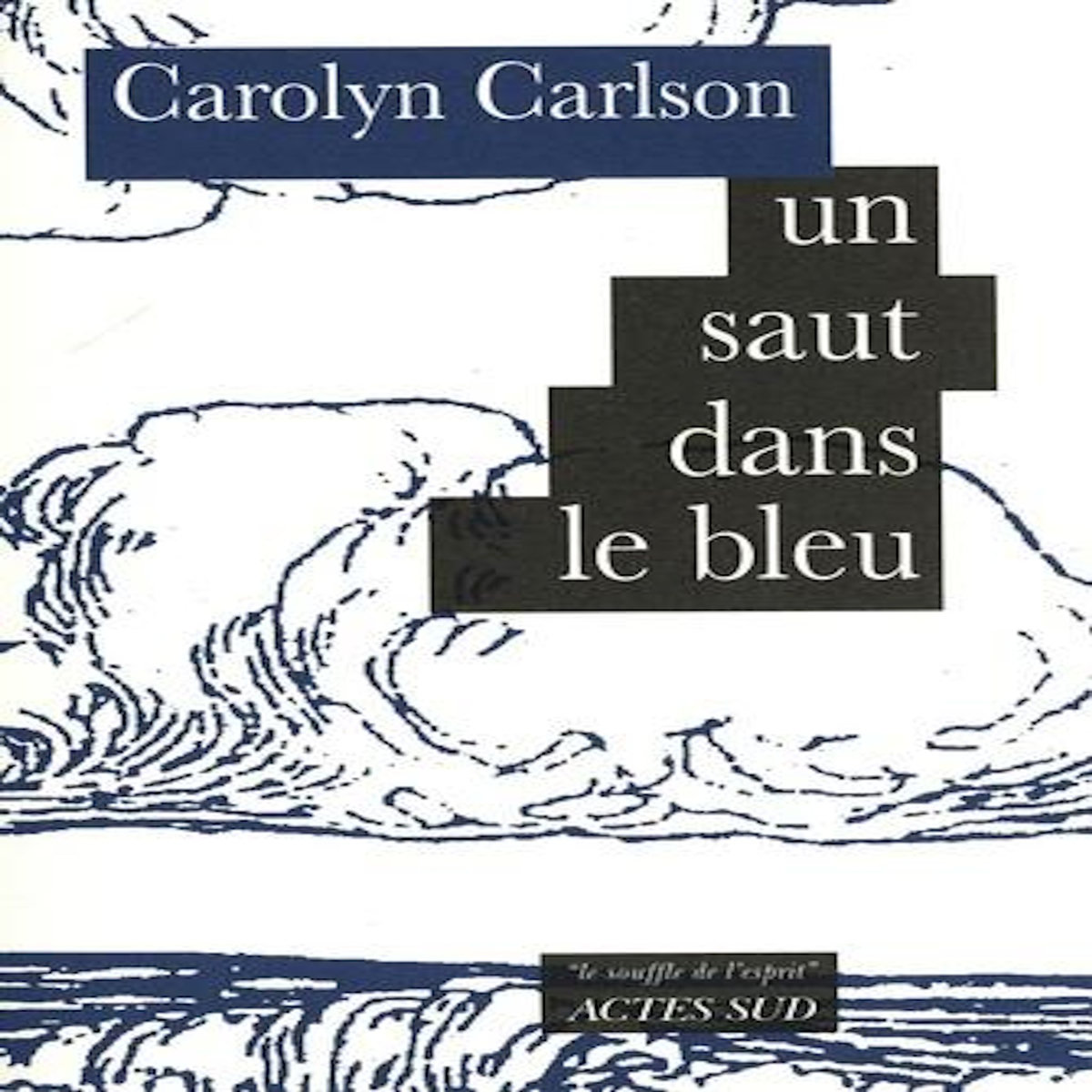 UN SAUT DANS LE BLEU, Carlson Carolyn