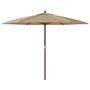 Voir la diapositive 4 : VIDAXL Parasol de jardin avec mat en bois taupe 299x240 cm