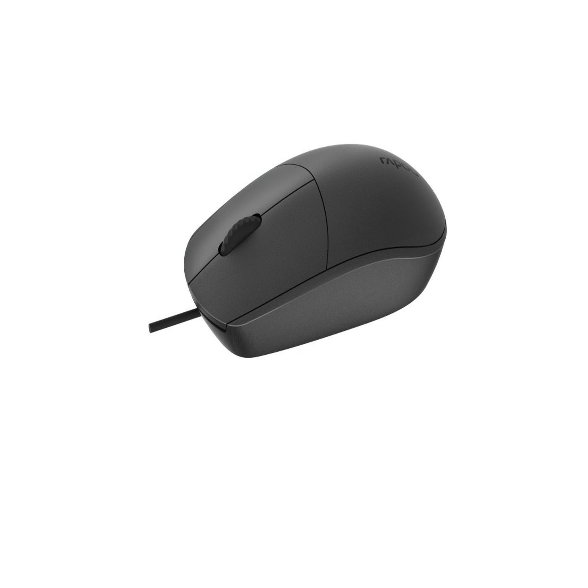 RAPOO Rapoo N100-BK souris Bureau Ambidextre USB Type-A Optique 1600 DPI