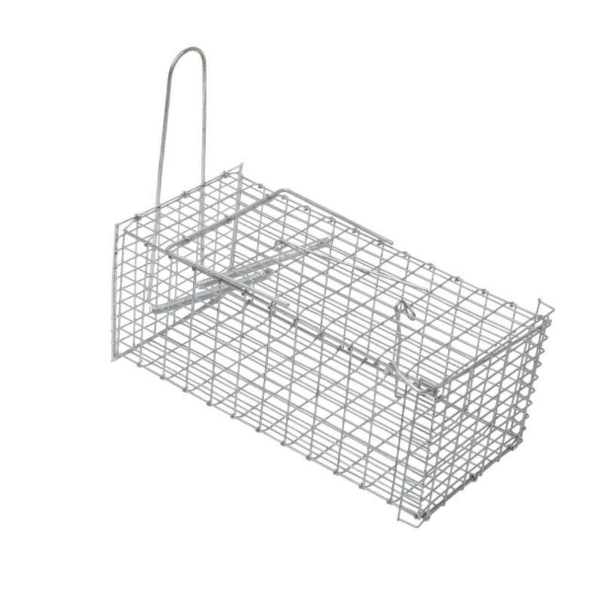  Nasse pour souris ou rat Werkapro 30,5 x 15 x 12,5 cm