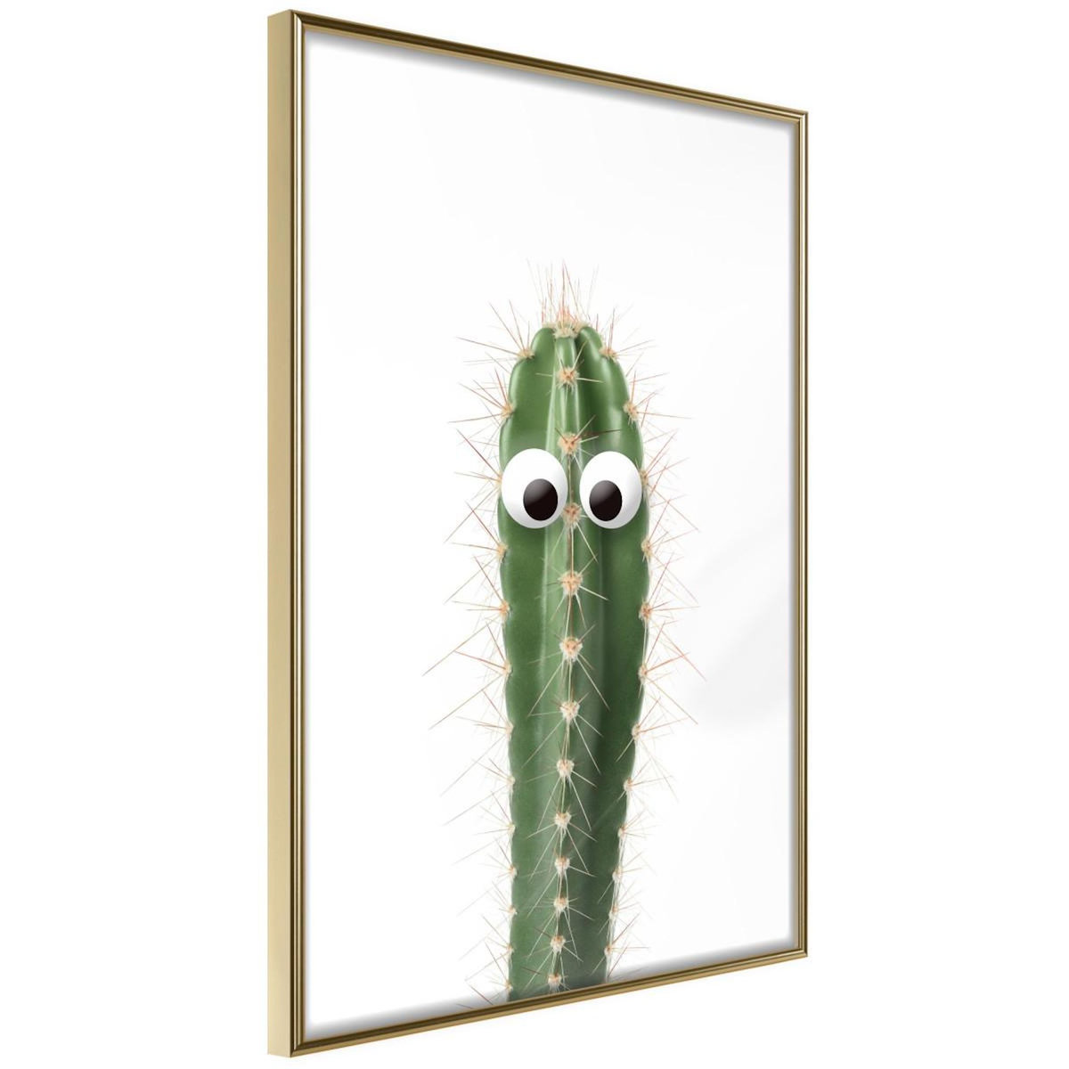 Paris Prix Affiche Murale Encadrée  Funny Cactus I