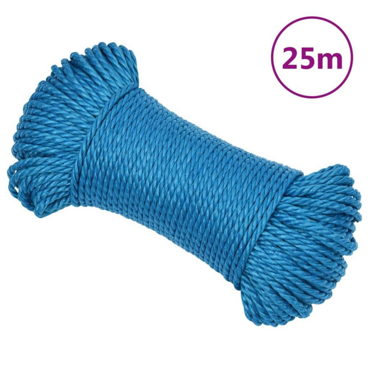VIDAXL Corde de travail Bleu 3 mm 25 m Polypropylene