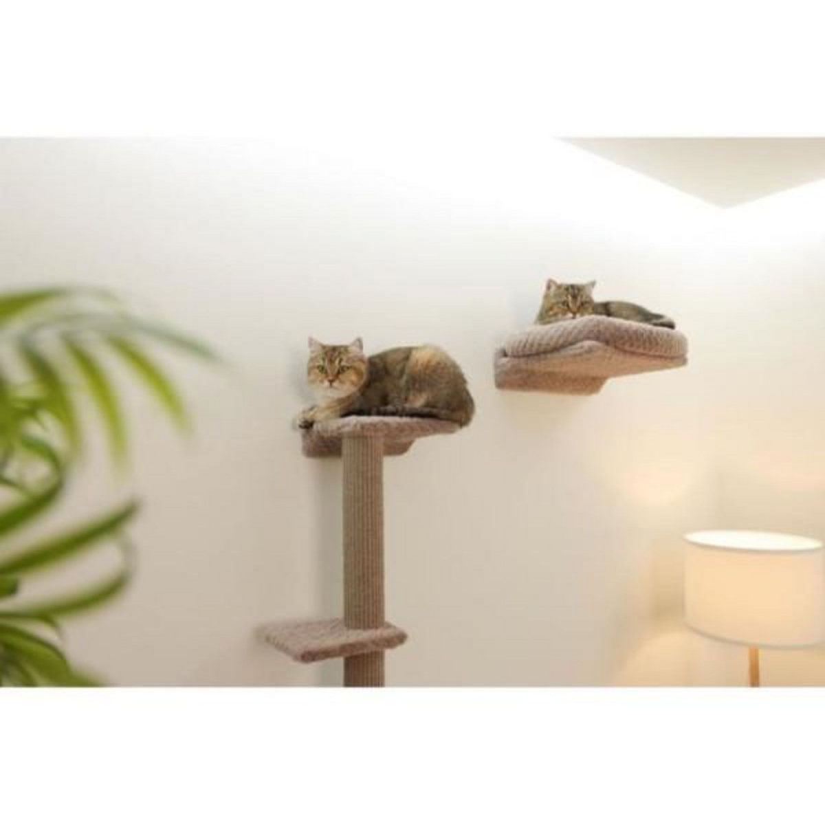KERBL Mur d'escalade pour chats - KERBL - MONTE ALPI - 8 pieces - Gris - Tour d'escalade