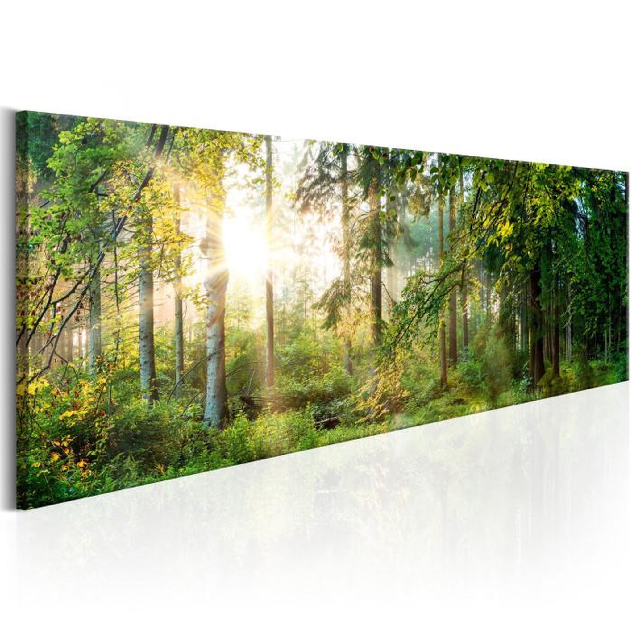 Paris Prix Tableau Imprimé  Forest Shelter. Coloris disponibles : Multicolore