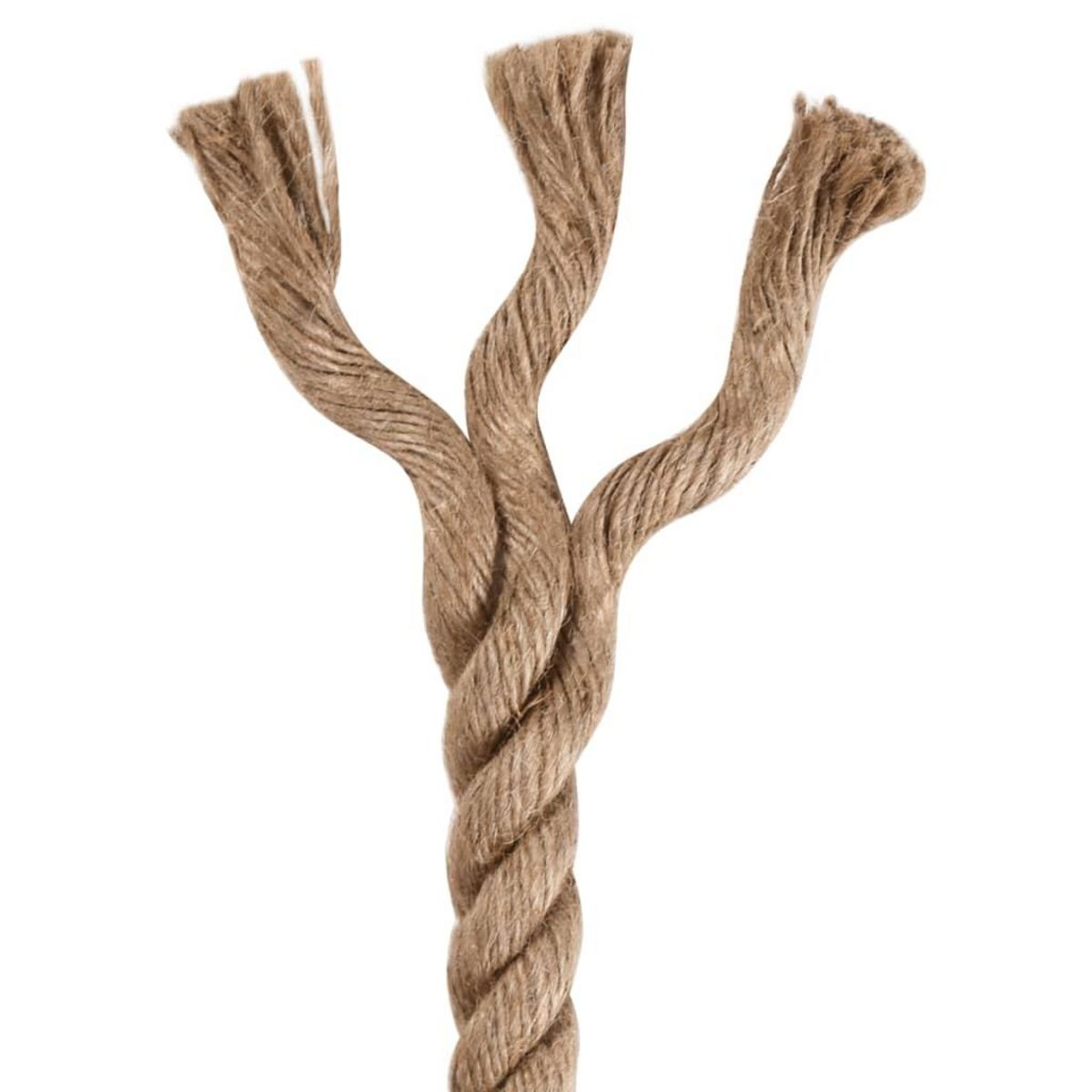 VIDAXL Corde 100 % jute 20 mm 50 m