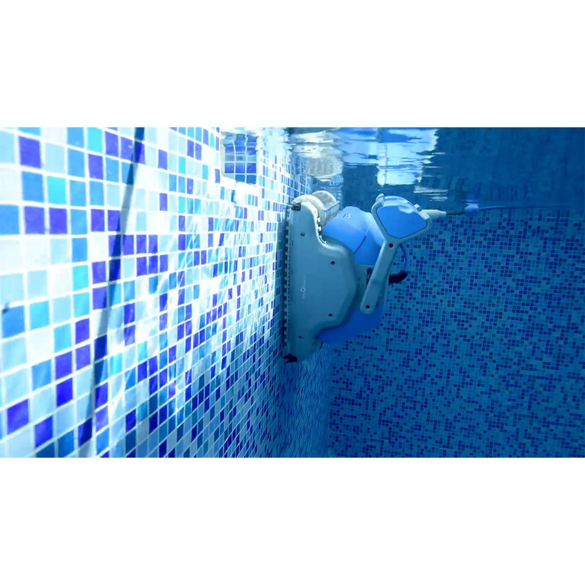 Dolphin Robot electrique de piscine fond, parois et ligne d'eau avec chariot - ms4