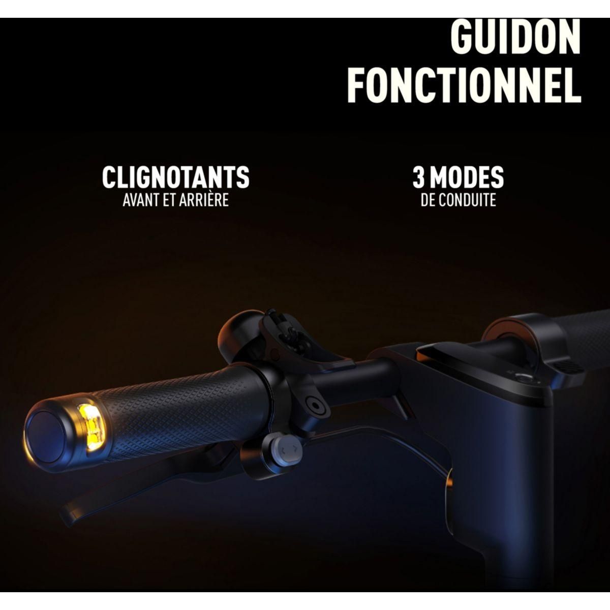 Segway Trottinette électrique F2 Plus E