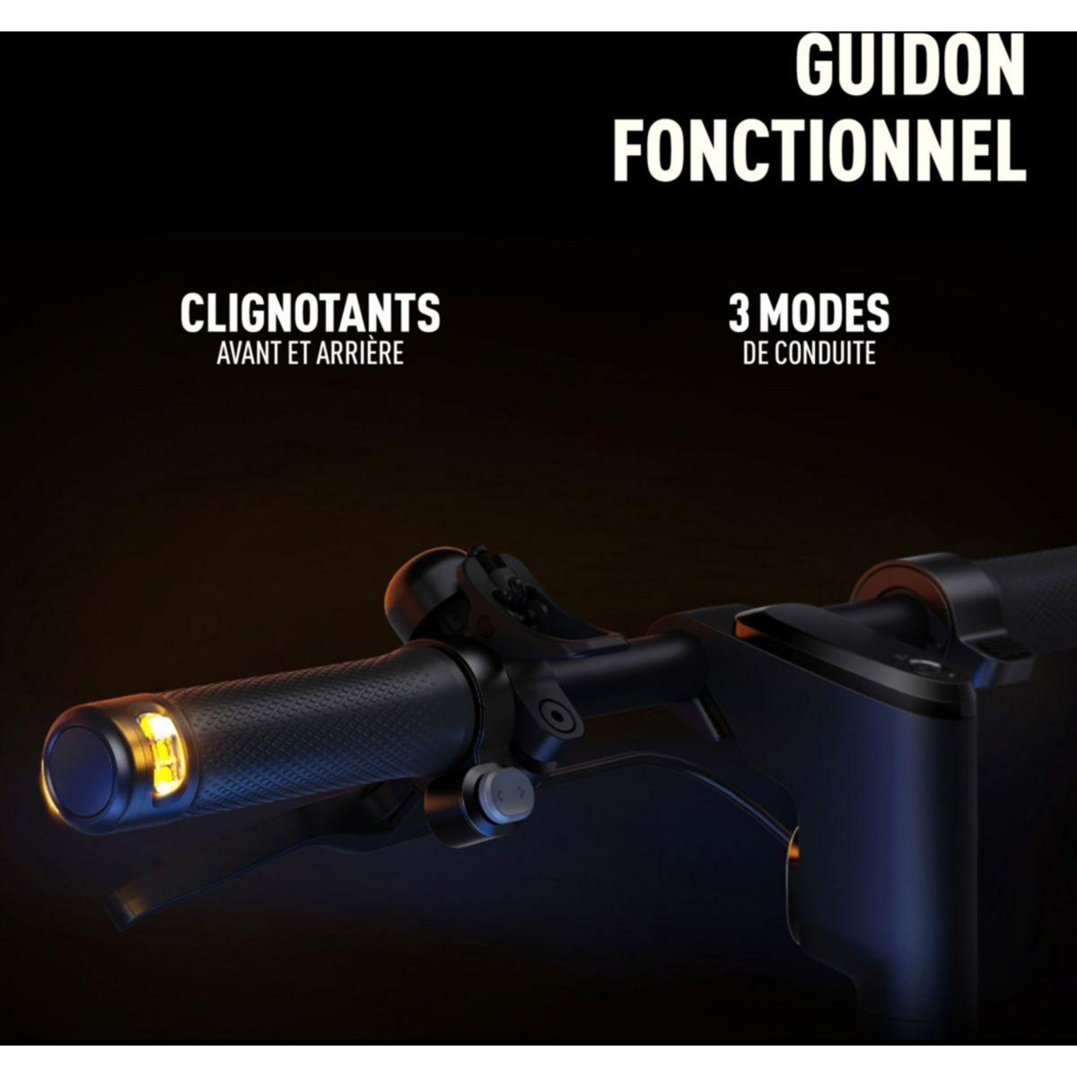 Segway Trottinette électrique F2 Plus E