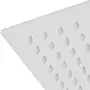 VIDAXL Tete de douche plongeante carree en acier inoxydable 50x50 cm