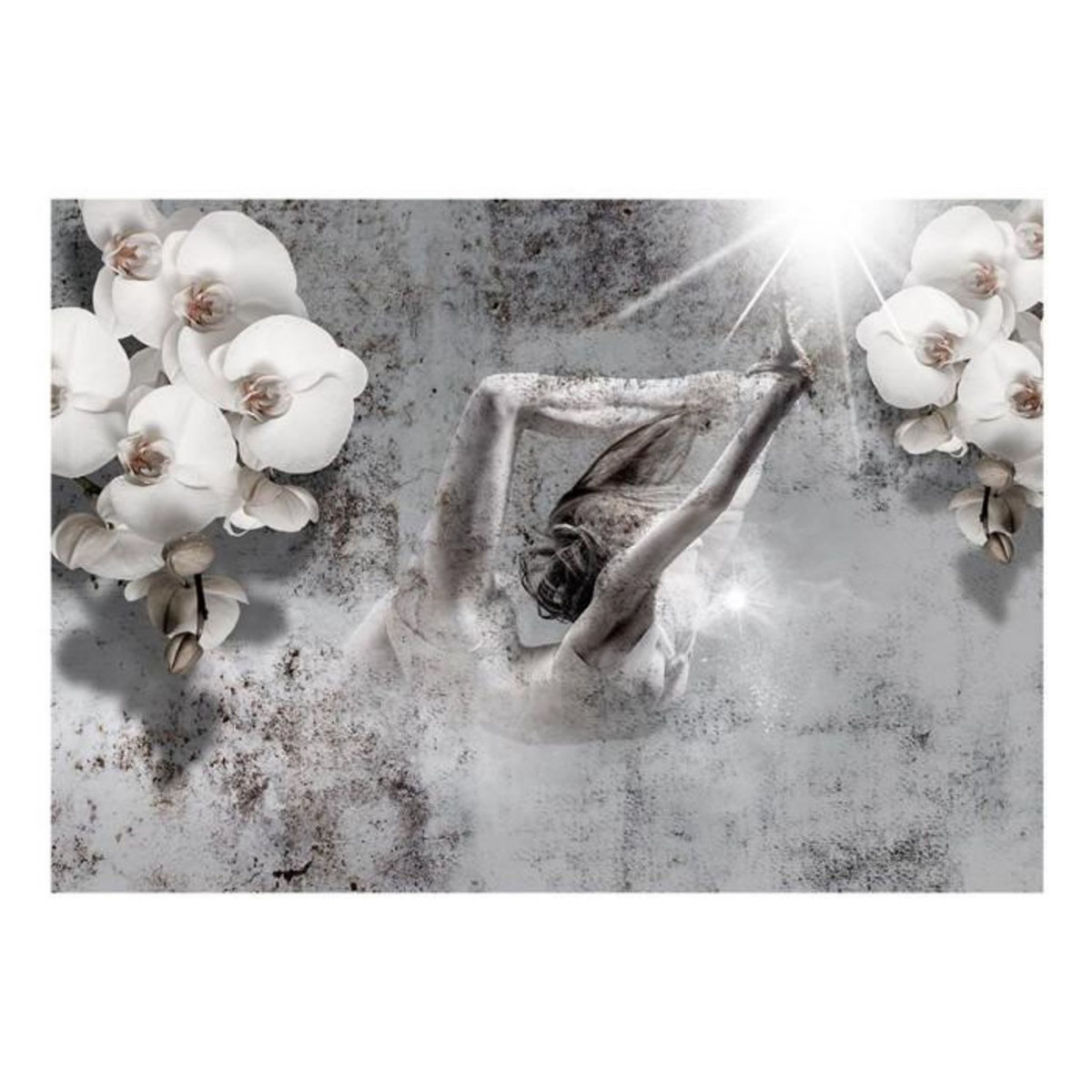 Paris Prix Papier Peint  Arrangement with Orchid