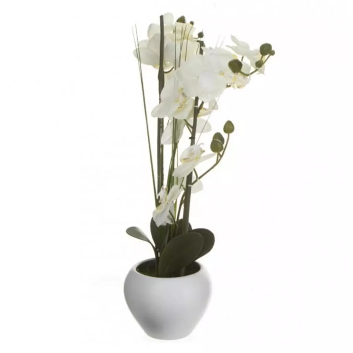 ATMOSPHERA Composition Florale & Vase  Orchidée  53cm Blanc