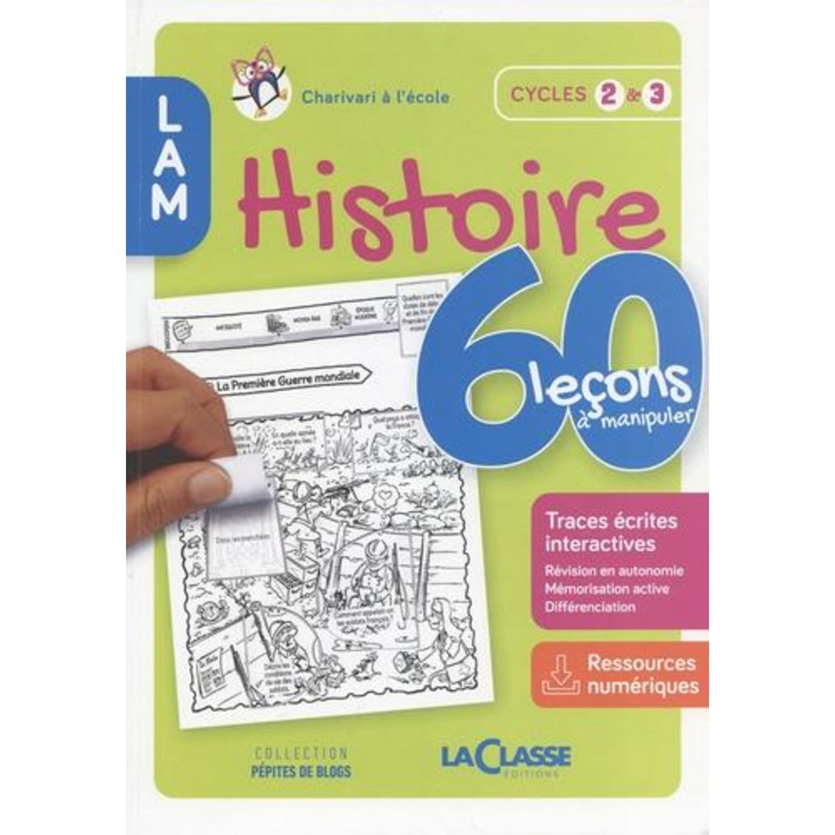 HISTOIRE CYCLES 2 & 3. 60 LECONS A MANIPULER, Guichard Delphine