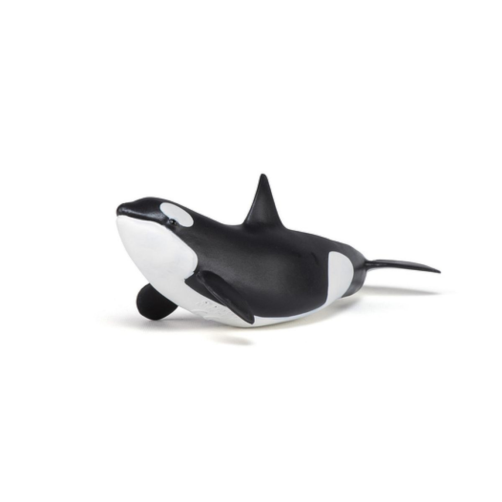 Voir la diapositive 4 : Papo 56040 Bebe orque animal marin