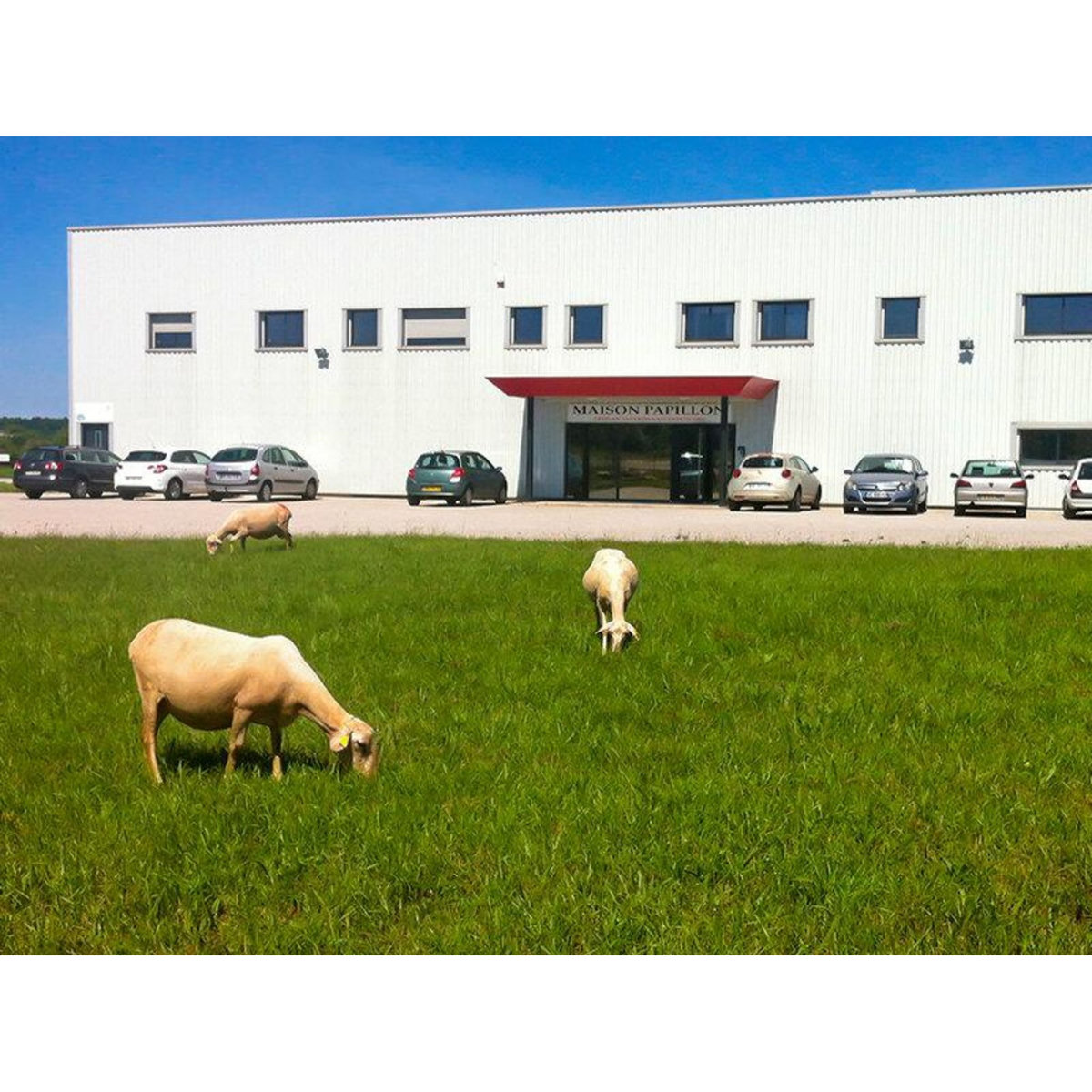 Smartbox Coffret de 4 terrines gourmandes à déguster à domicile - Coffret Cadeau Gastronomie