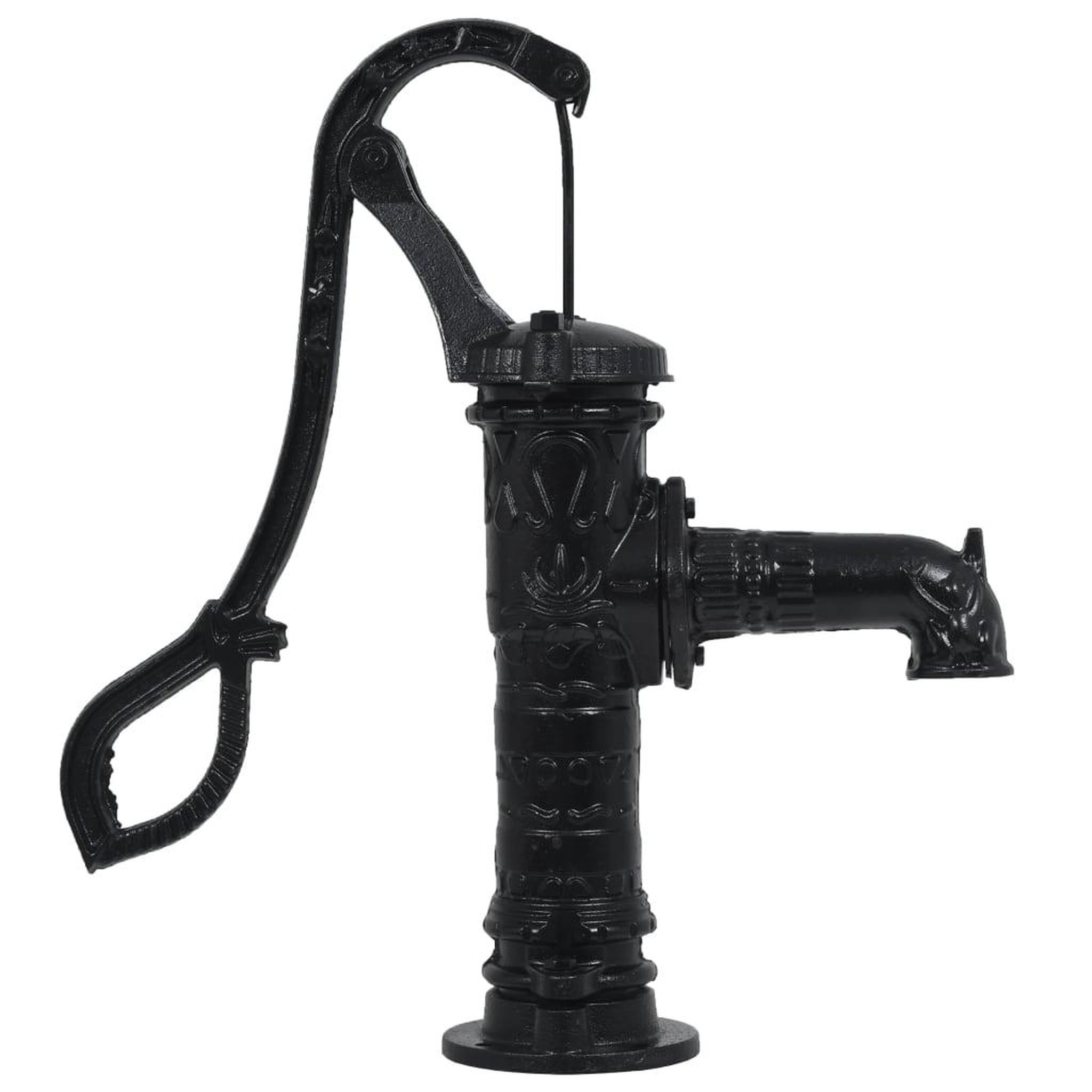 Voir la diapositive 3 : VIDAXL Pompe a eau de jardin avec support en fonte