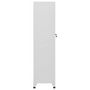Voir la diapositive 5 : VIDAXL Armoire a casier 38x45x180 cm