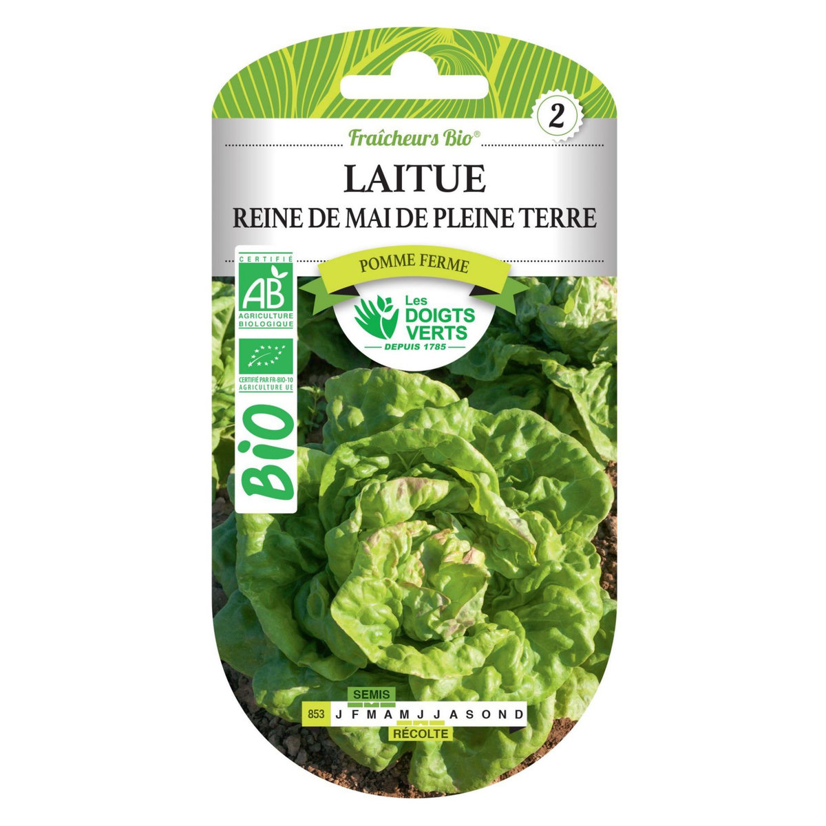 LES DOIGTS VERTS Graines laitue Reine de Mai de Pleine Terre BIO Les Doigts Verts