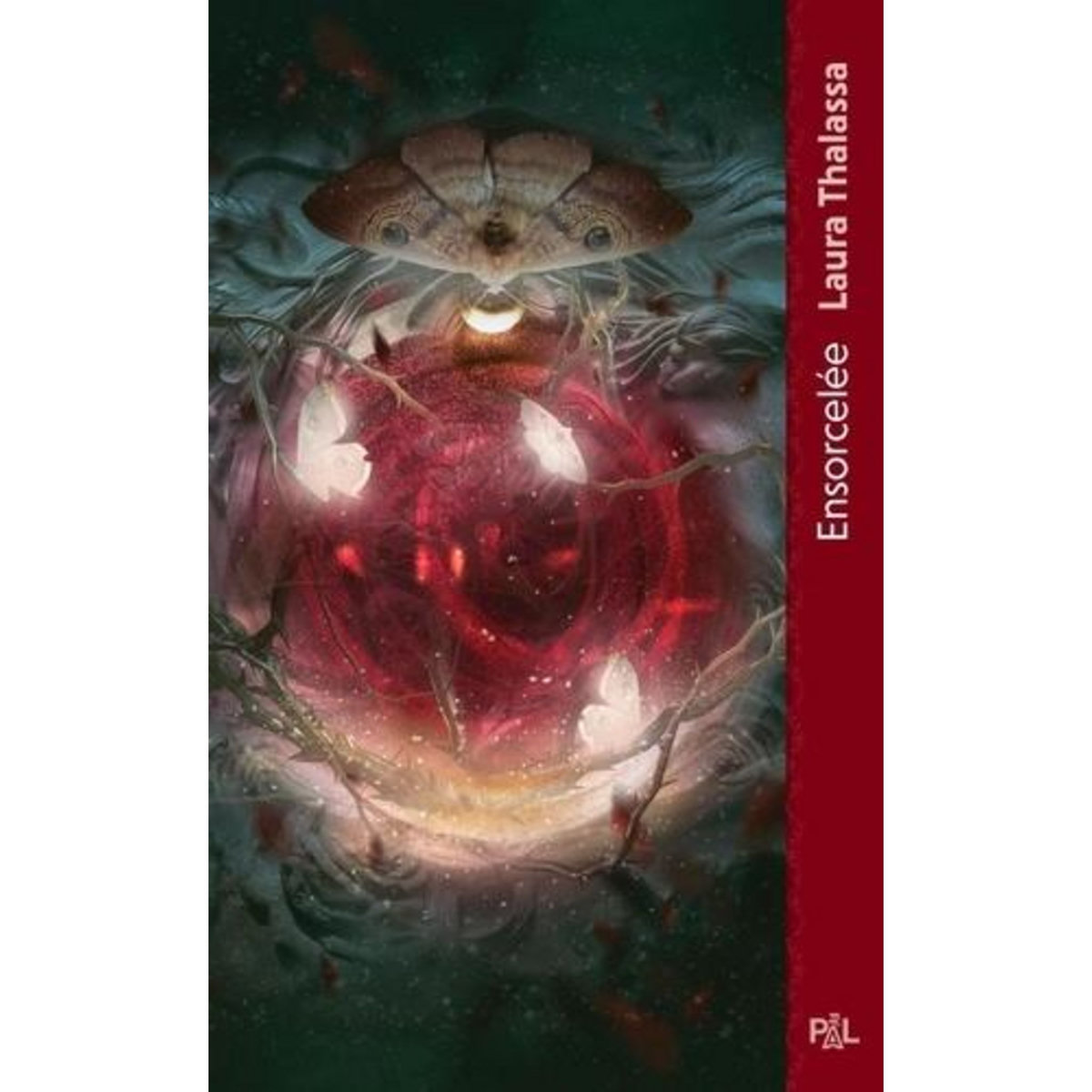 DAMNATIO MEMORIAE TOME 1 : ENSORCELEE, Thalassa Laura