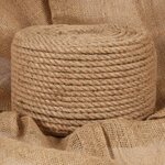 VIDAXL Corde 100 % jute 10 mm 250 m