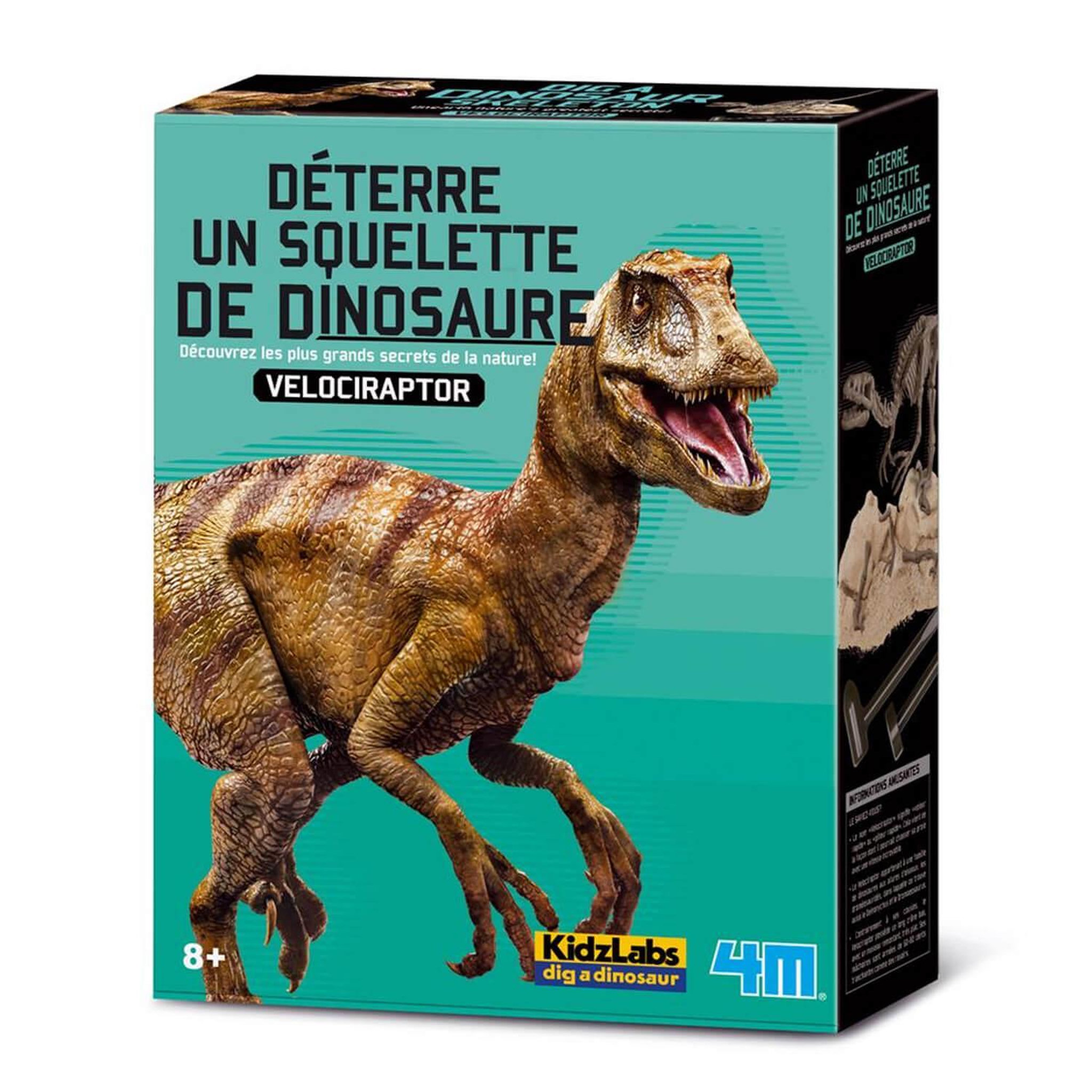 4M Déterre ton dino : vélociraptor