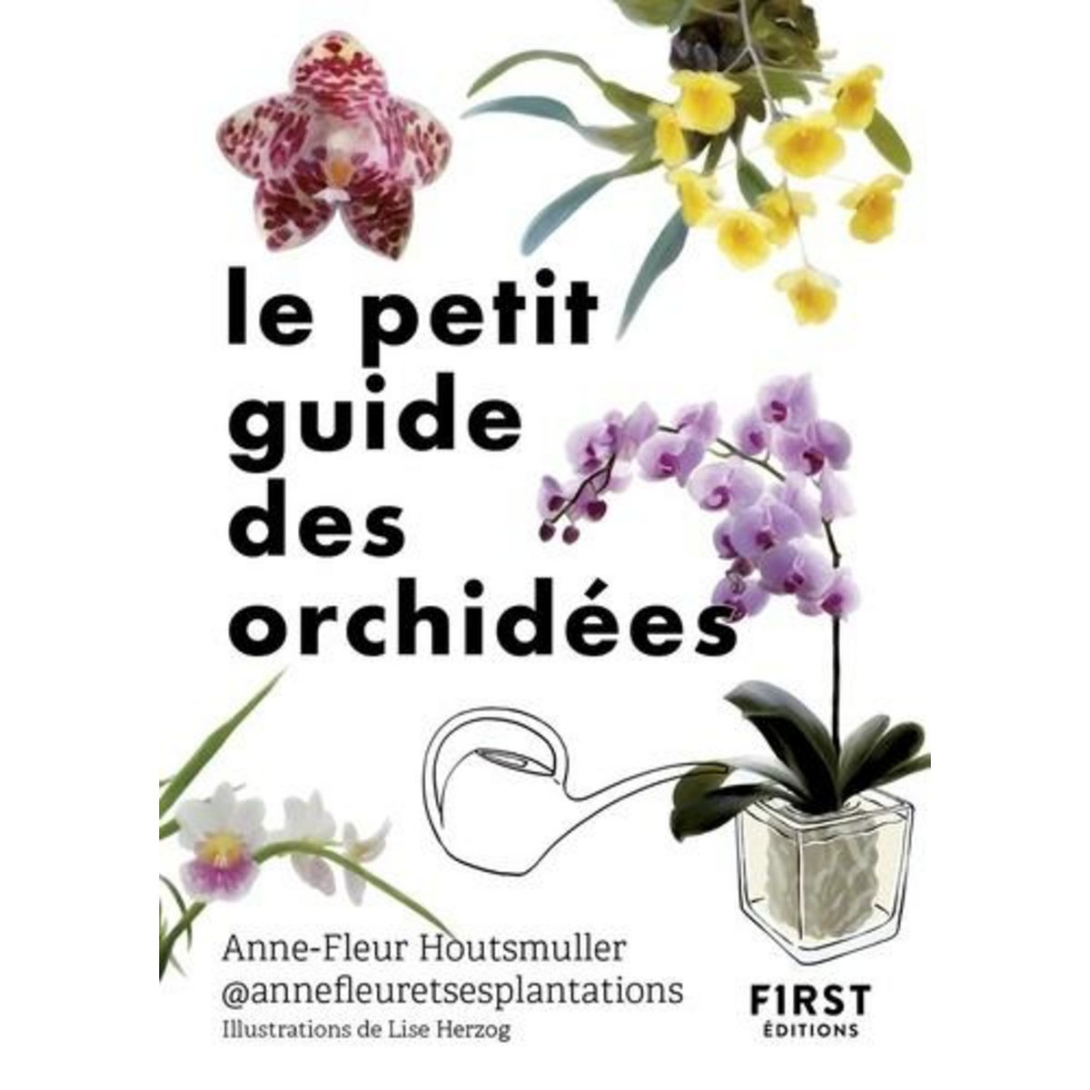 LE PETIT GUIDE DES ORCHIDEES. 70 ESPECES A DECOUVRIR, Houtsmuller Anne-Fleur