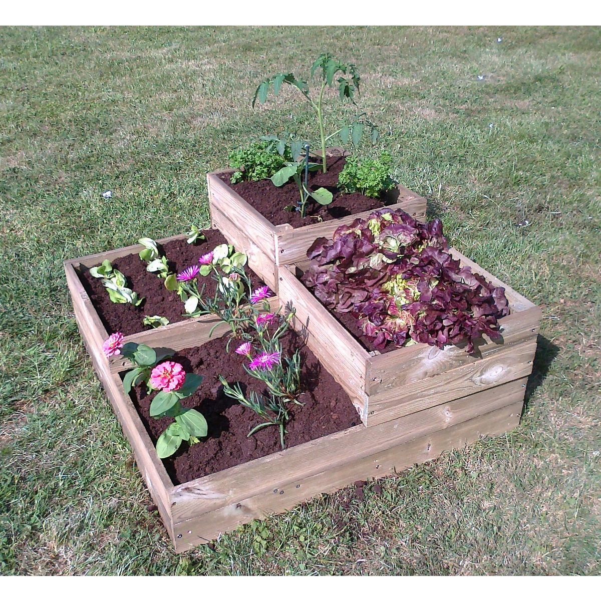 Jardin sauvage Carré potager modulaire 80 x 80 cm