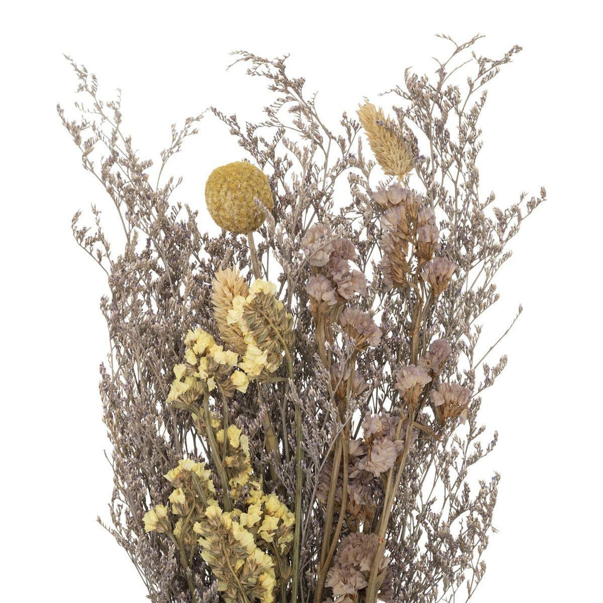 ATMOSPHERA Bouquet de Fleurs Séchées  Nature  50cm Multicolore